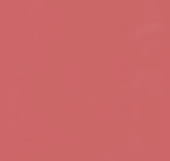 theSAEM Cover Perfection Lip Pencil 04