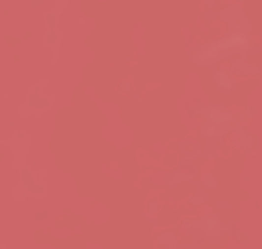 theSAEM Cover Perfection Lip Pencil 04